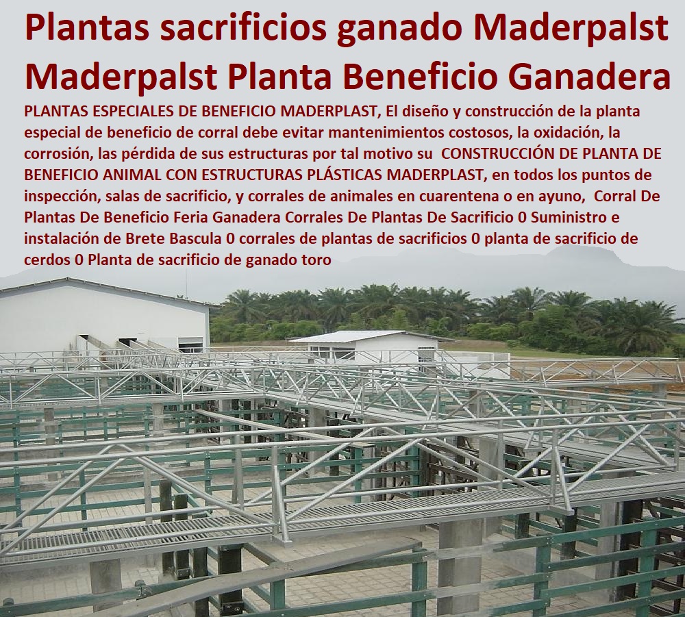 Corrales plásticos Maderplast encierro ganadería corral plástico para ganado modernos 0 Explotación Ganadera Automatizada, Sistemas de Pastoreo, Estabulación de Ganado, Pastoreo Intensivo, Establos, Corrales, Saladeros, Comederos, Cerramientos, Postes, Ganaderías Tecnificadas, Ganaderías Tecnificadas, Nueva Tecnología de Estabulación Maderplast 0 Como Estabular El Ganado en Corrales 0 Comederos Para Ganado de Cemento 0 Técnicas Estabulación Corrales plásticos Maderplast encierro ganadería corral plástico para ganado modernos 0 Nueva Tecnología de Estabulación Maderplast 0 Como Estabular El Ganado en Corrales 0 Comederos Para Ganado de Cemento 0 Técnicas Estabulación